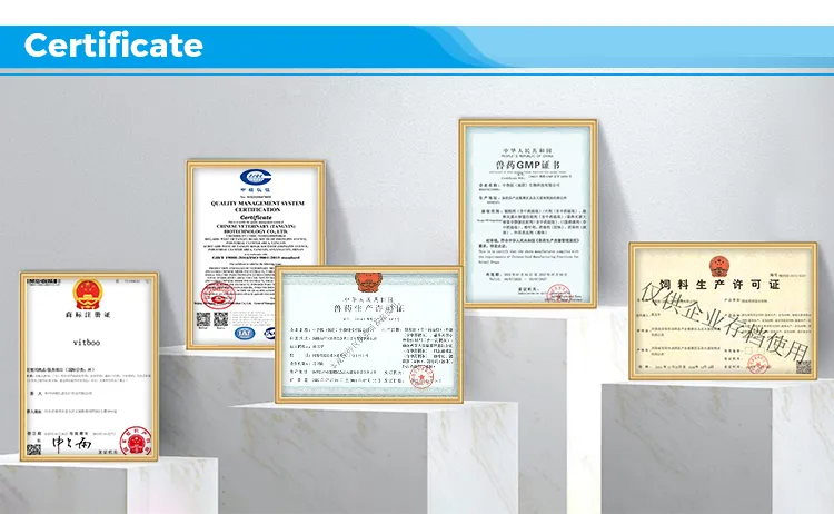 Manufacturing Process