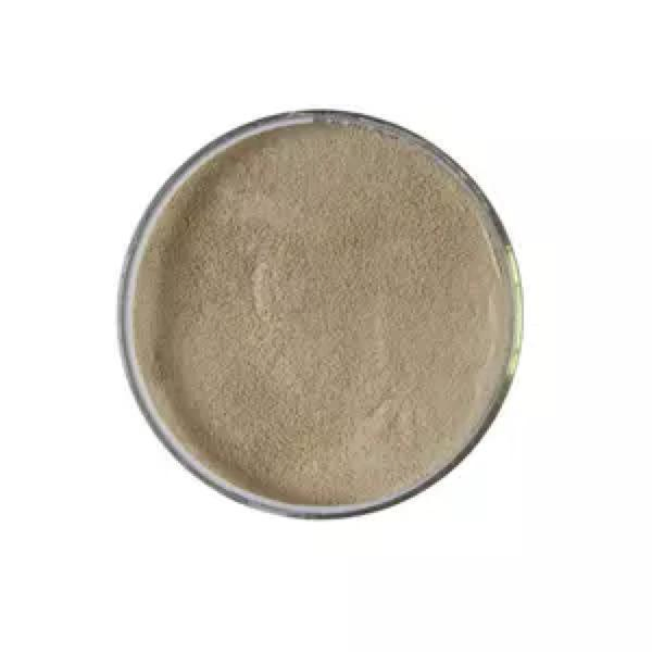 Wholesale Fish Animal Feed Additive Probiotic Licheniformis Bacillus Subtilis for Shrimp