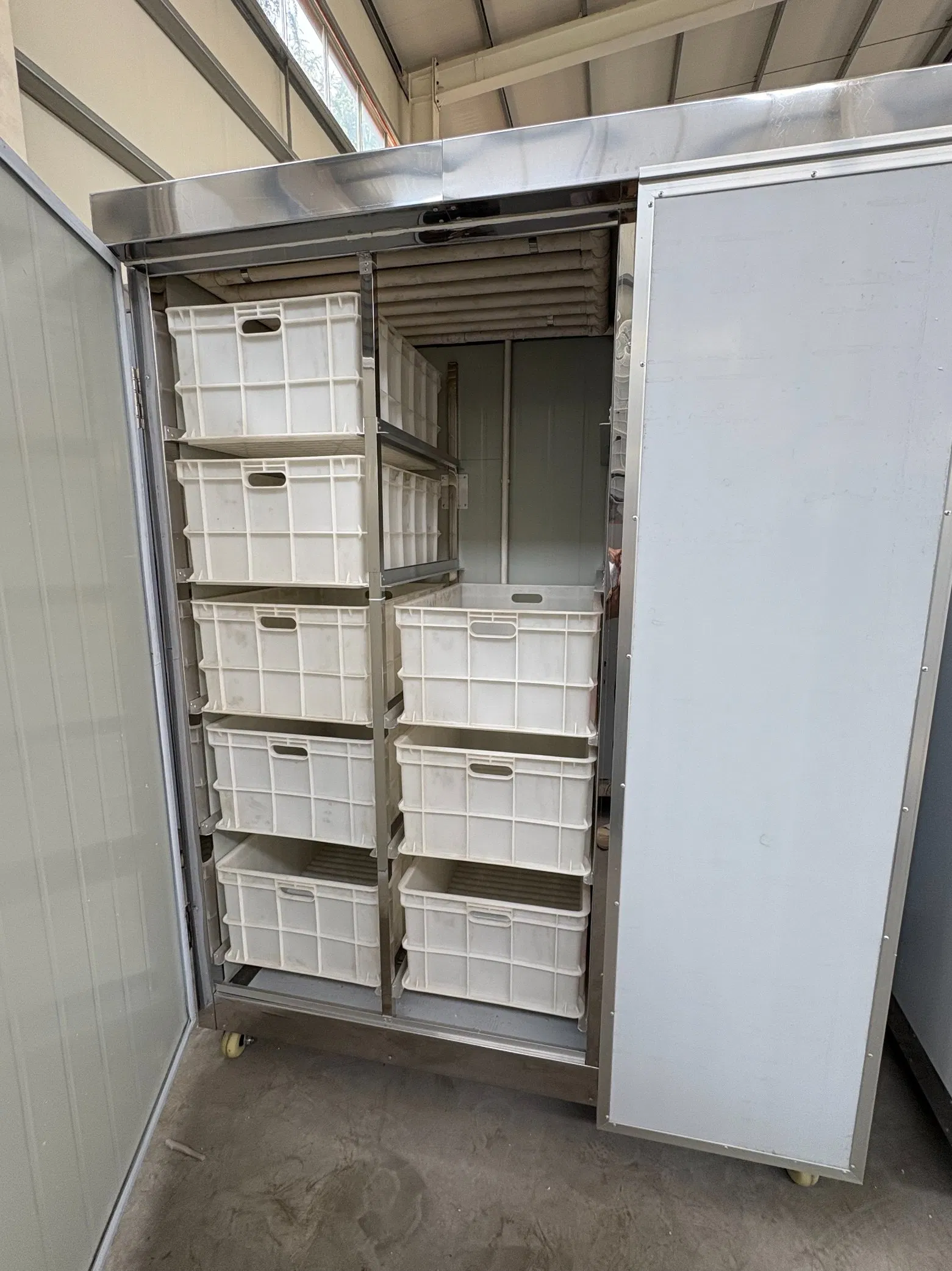 Daily Output of 50kg Commercial Fully Automatic Bean Sprout Grower