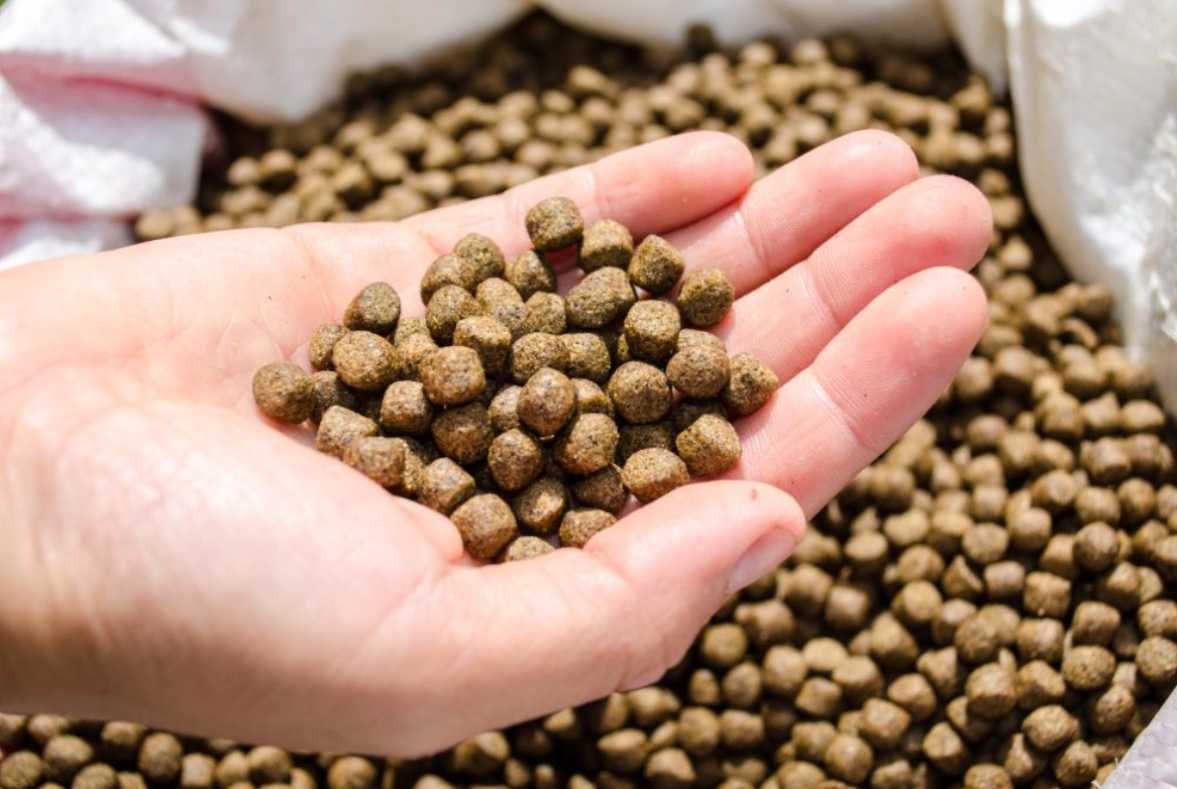 Tilapia Fingerling Grower Complete Feed Promotes Rapid Growth