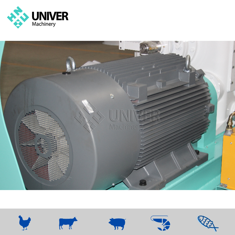 Advanced Aquaculture Success Sinking Fish Feed Pellet Mill Production Line