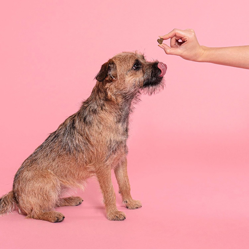 Smokin' BBQ Burger Flavor 3.1oz (90g) Jerky Dog Treats