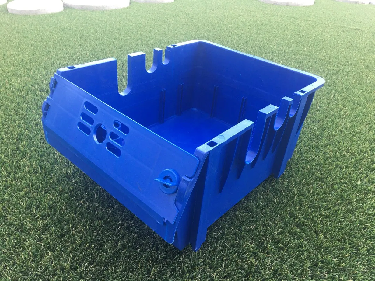 Innovative Urban Mud Crab Farming Nursery with Ras System