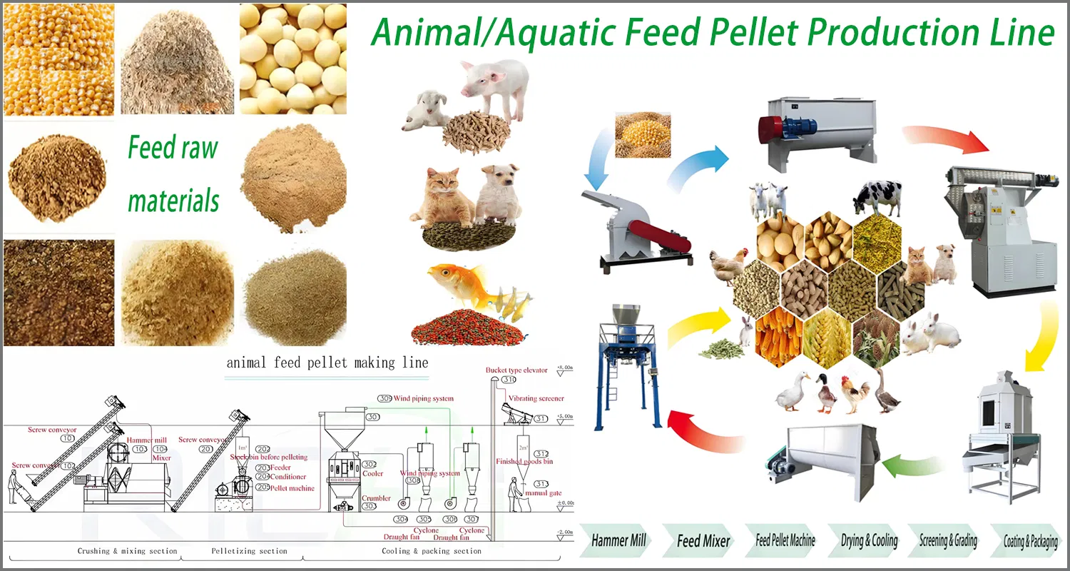 Feed Pellet Production Line