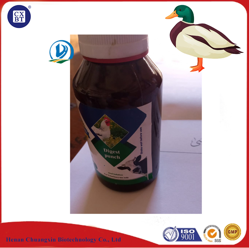 Advanced Animal Health Solutions for Effective Pathogen Control