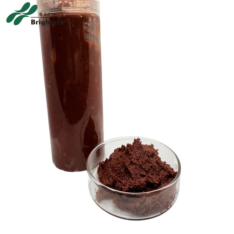 Premium Low-Salt Shrimp Paste for Aquaculture Feed Grade