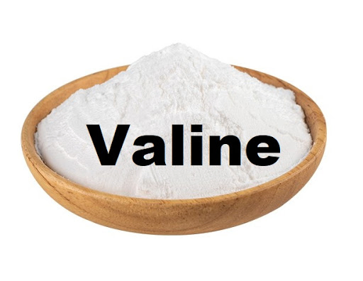 Valine Feed Additive Reduce Fcr &amp; Stress Ideal for Poultry/Swine/Aquaculture