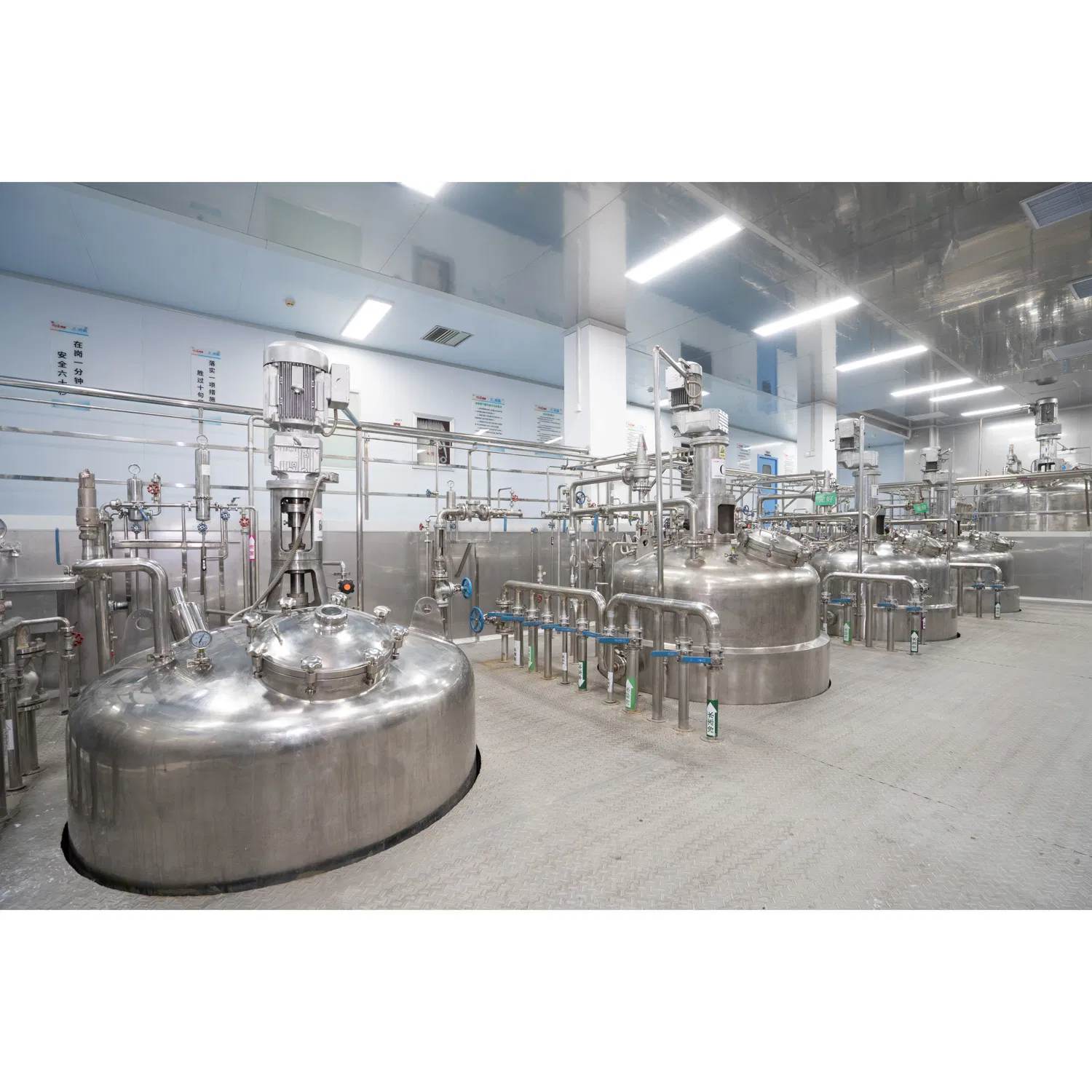 Non-GMO High Potency Probiotic Solution for H. Pylori