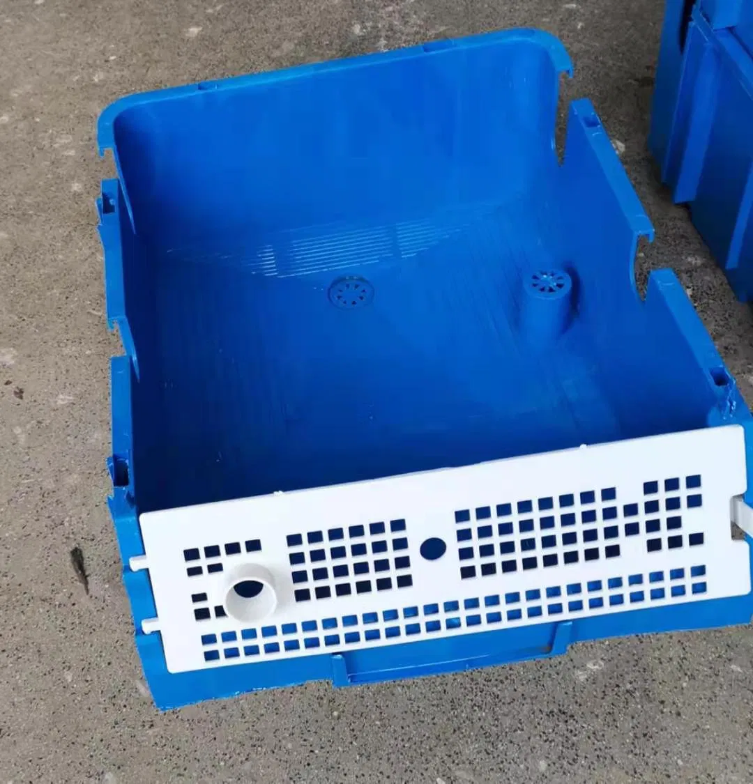 Vertical Mud Crab Farming The Guide to Starting Vertical Mud Crab Farming