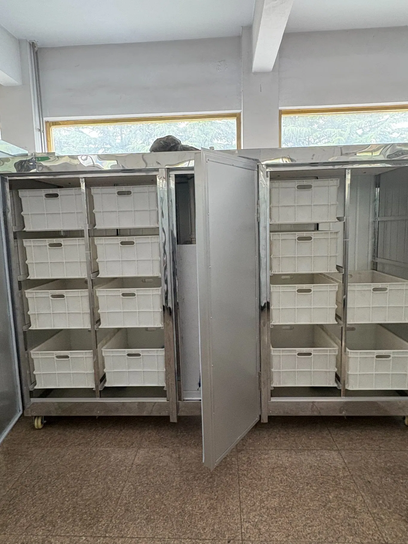 Professional Automatic Bean Sprout Grower Daily Output100kg