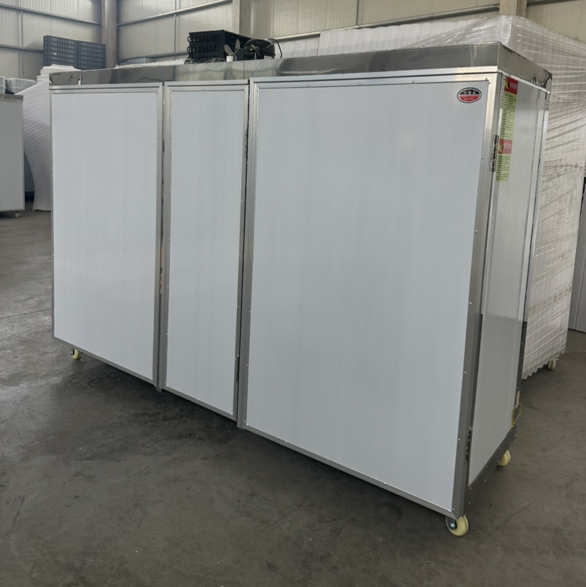 Advanced Bean Sprout Manufacturer Direct Sales Daily Output300kg Bean Sprout Grower