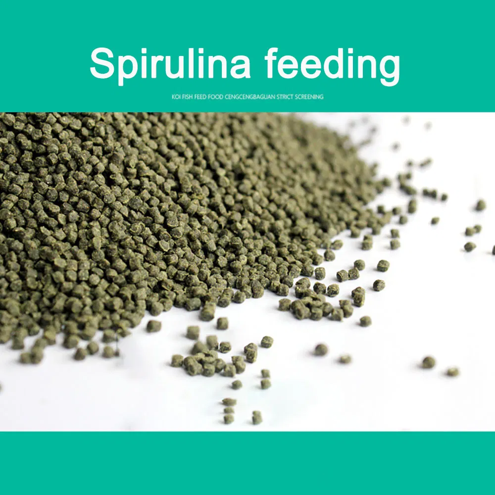 Spirulina Feed