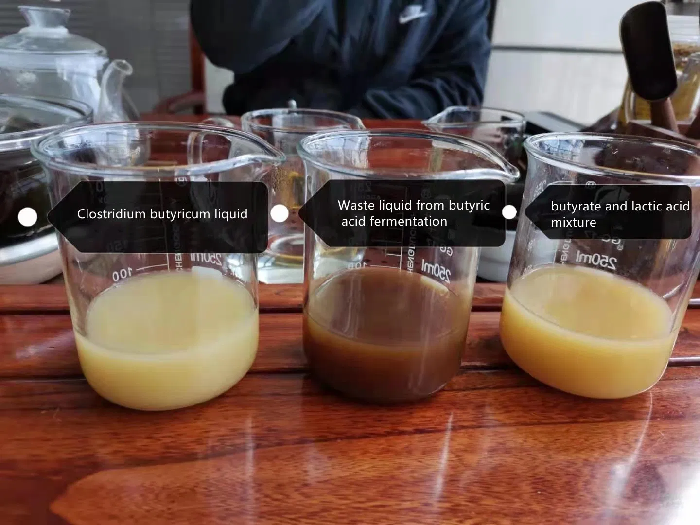 Clostridium Butyricum Solution Probiotics for Aquaculture Farms