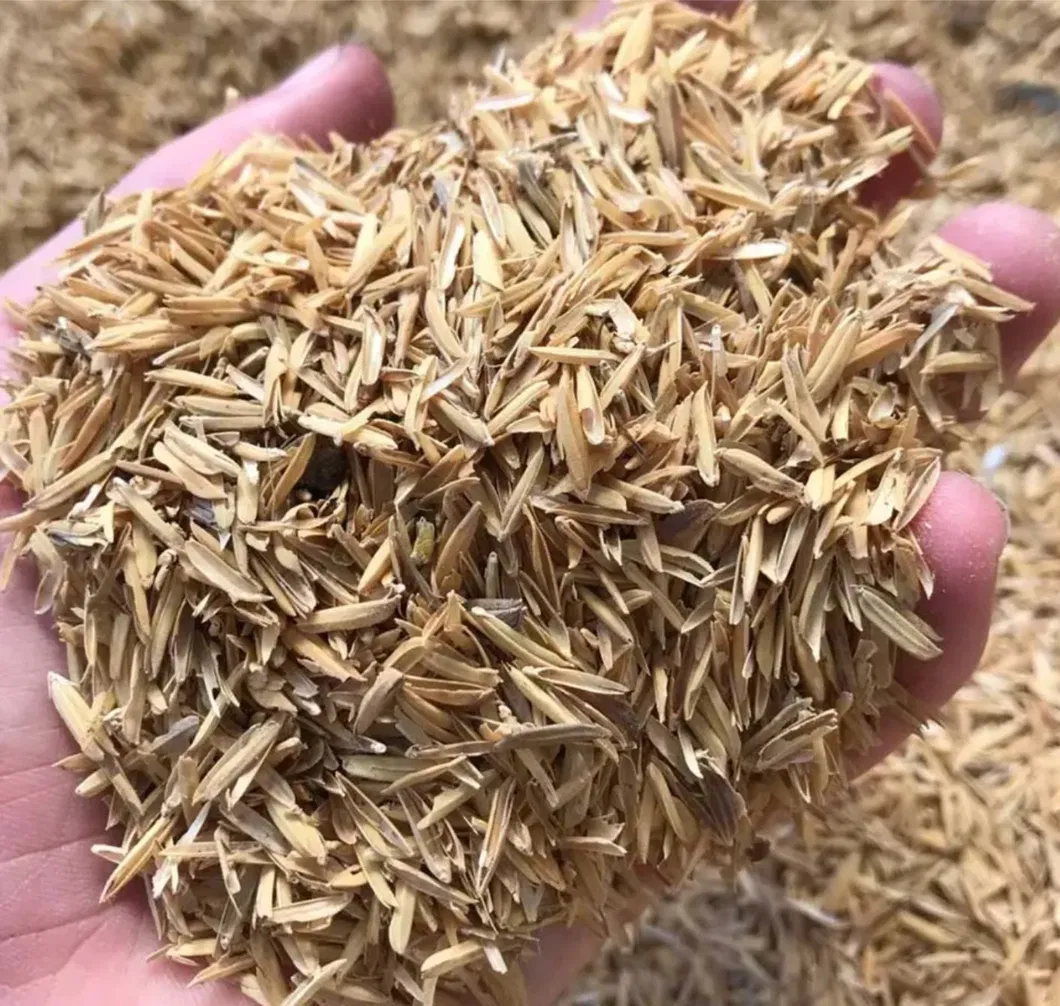 Rice Husk Powder Features