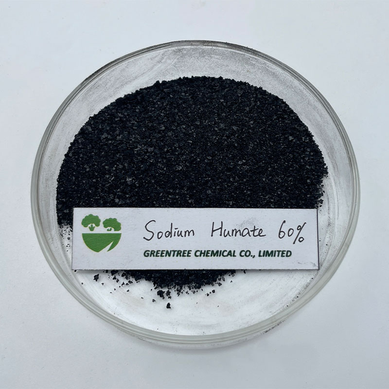 Agriculture Fertilizer Factory High Soluble Feed Additive Humic Acid 60% Sodium Humate China Manufacturers