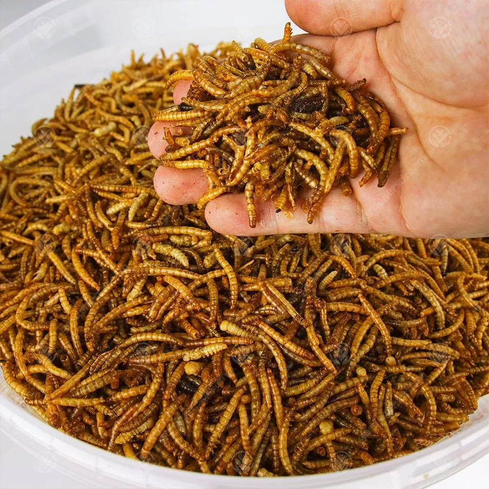Fish Bird Snack Food Natural Dried Mealworms Animal Feed