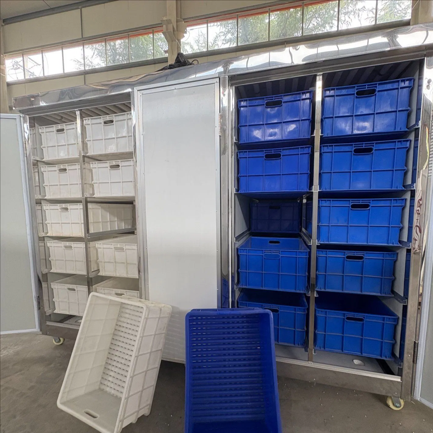 Fully Automatic Bean Sprout Grower for Commercial and Household Use