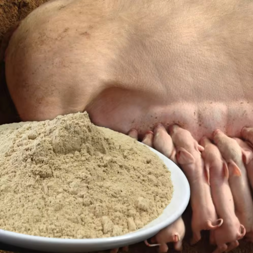 Feed Grade Additives Probiotic Probiotics for Pigs- Invest in Swine Gut Health Your Trusted Swine Probiotic Solution