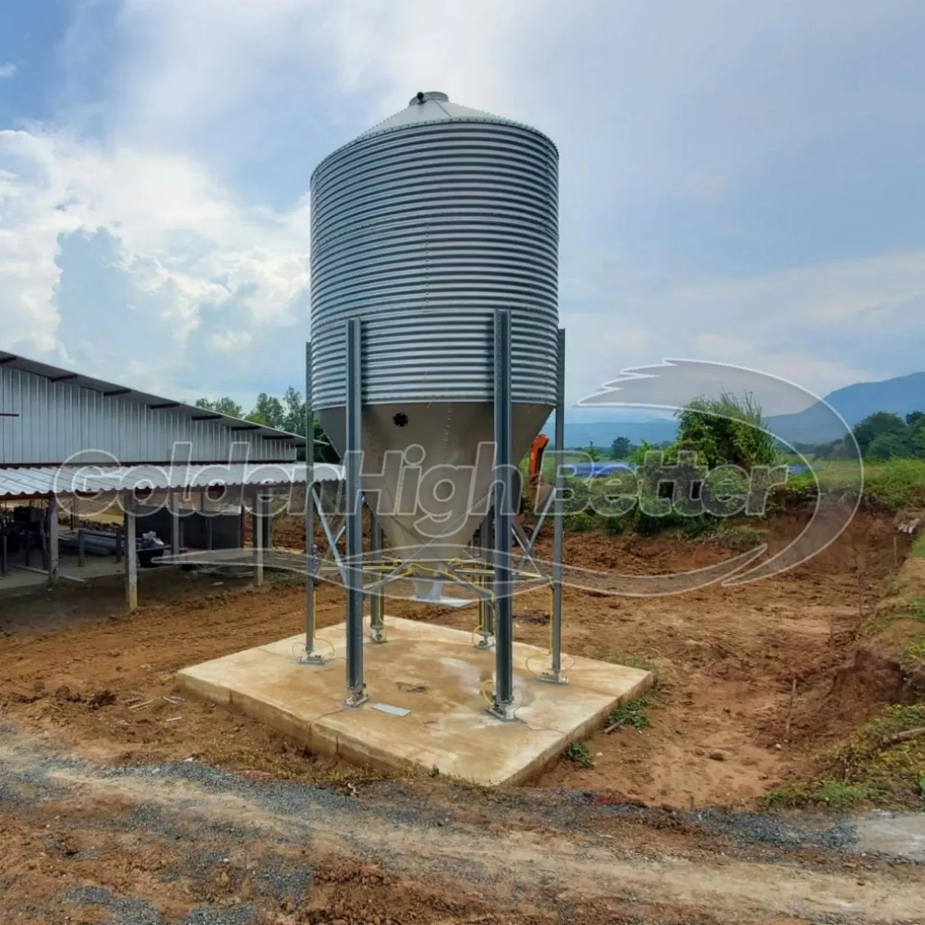 High Quality Galvanized Poultry Silo Steel Feed Storage Bin for Chicken Livestock Pig Farm for Wheat Grain Feed Storage Global Hot Sell