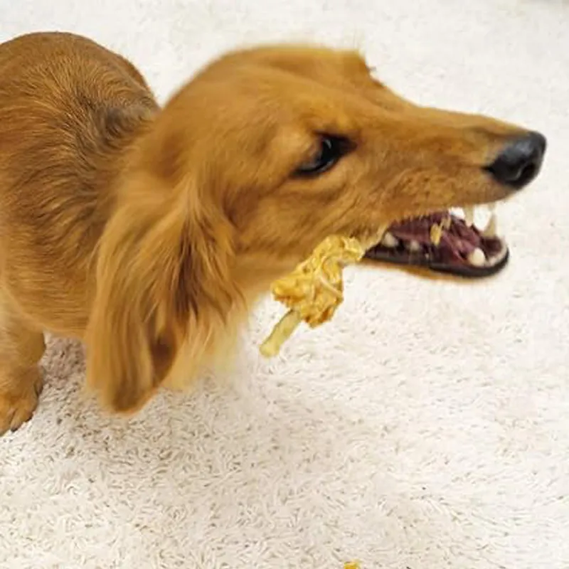 Beef Flavor Dog Treats 3