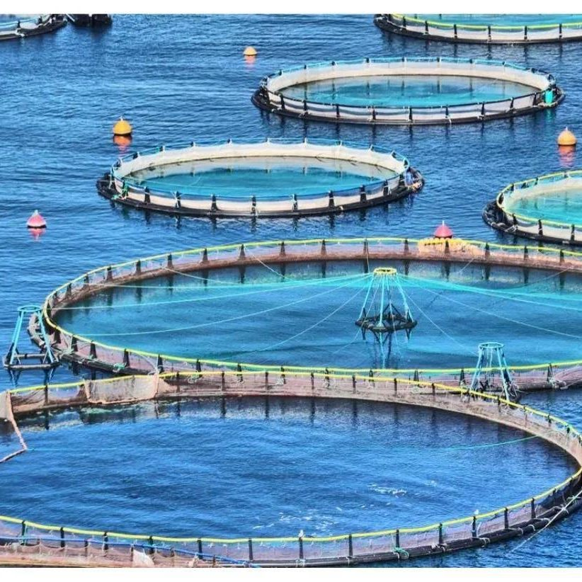 High Attractant Enzymatic Protein for Aquafeed - Boosts Feeding Rate &amp; Population Uniformity - for Shrimp, Crab &amp; Premium Fish Hatchery Fish Feed