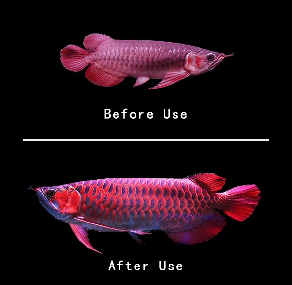 Eco Best No Additive Improve Size Formula Fish Feed