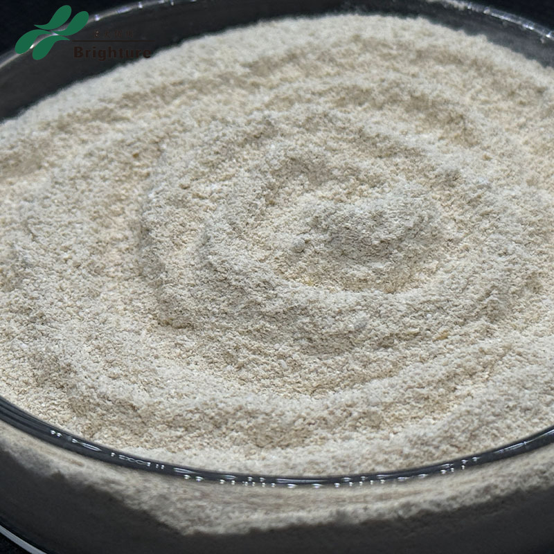 High-Density Aquaculture Efficiency-Enhancing Auxiliary with Lysolecithin Powder Feed Additive