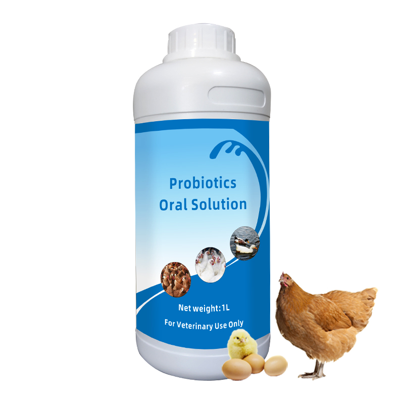 Probiotics Oral Solution Liquid Poultry Medicine Probiotics for Livestock