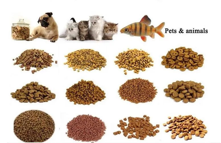 Floating Fish Feed Machine