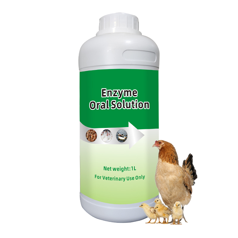 Probiotics Oral Solution Improve Intestinal Environment and Prevent Diseases