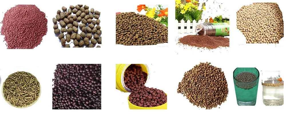 Fish Feed Samples