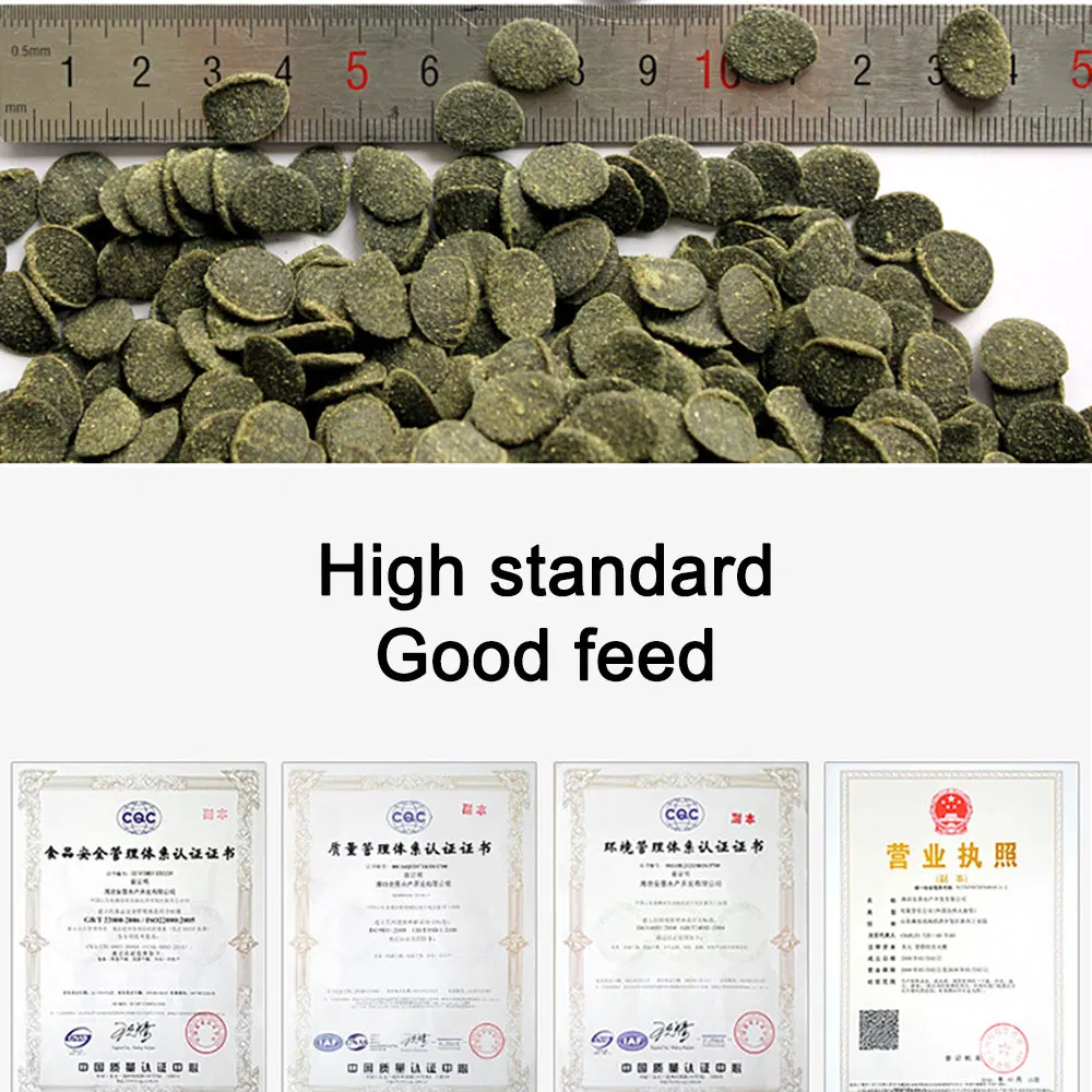 Aquarium Fish Feed on Sinking Feed of Spirulina