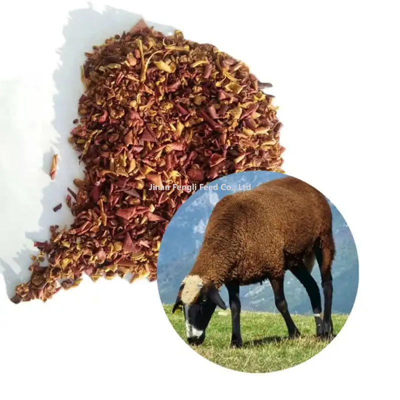 Factory Directly Sale Apple Pomace for Animals Feed Additives Feed Ingredients Feed Material