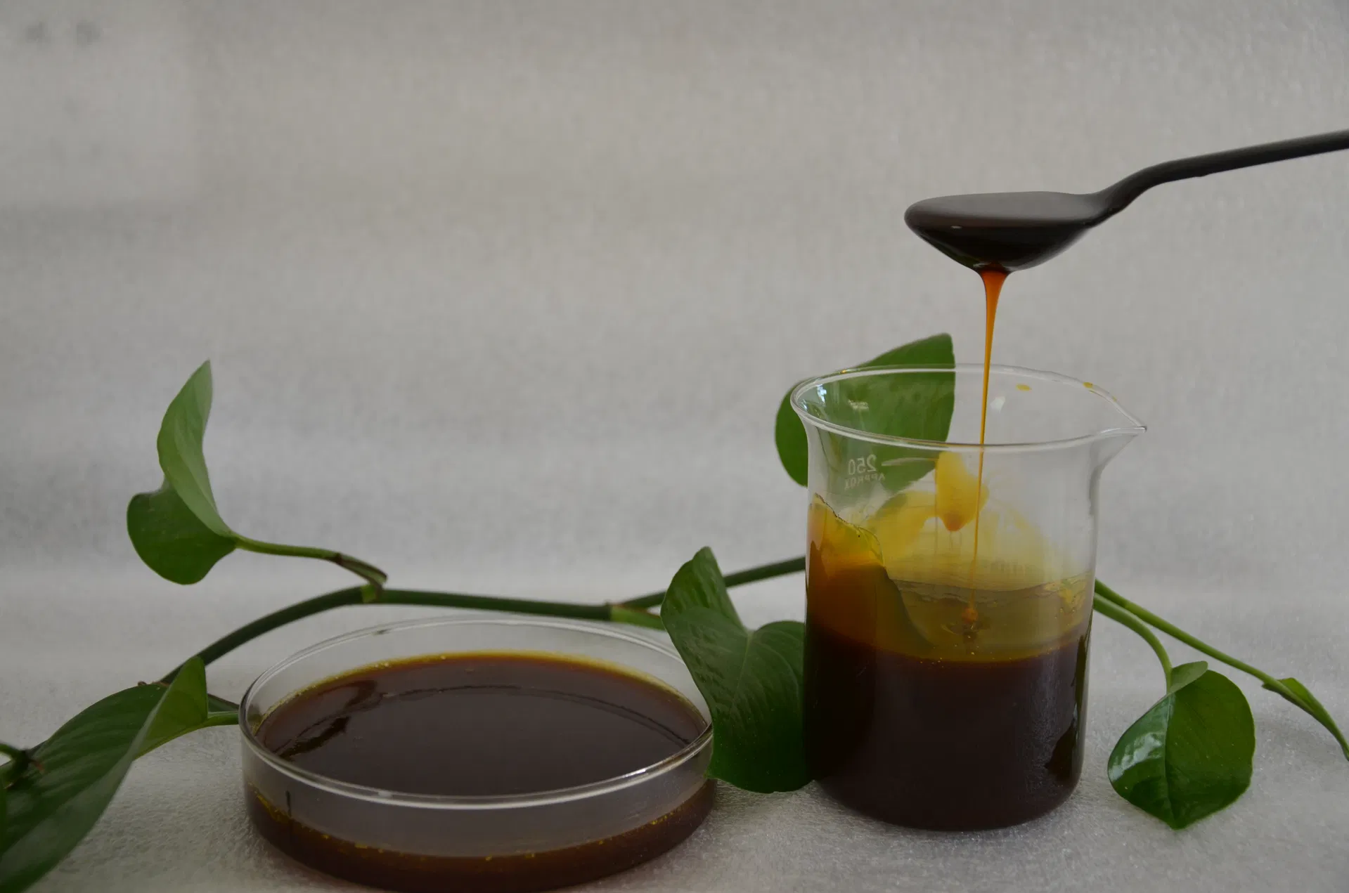 Detailed Application