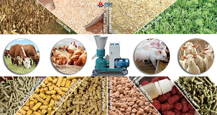 Animal Feed Application