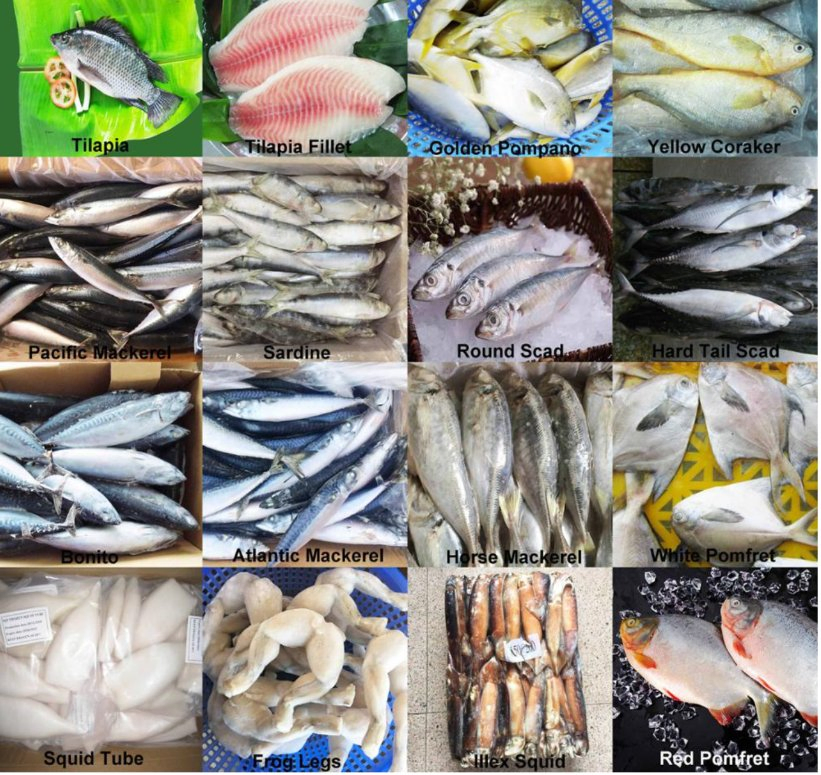 Feed Toxin Binder Promote Growing for Aquaculture