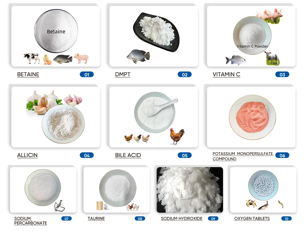 Main Products Gallery