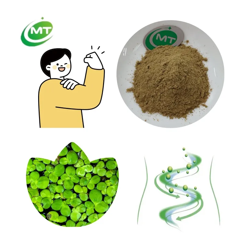 Pure Duckweed Powder