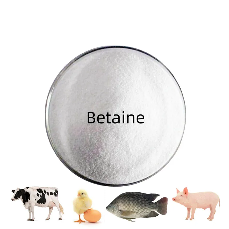 Betaine HCl Details