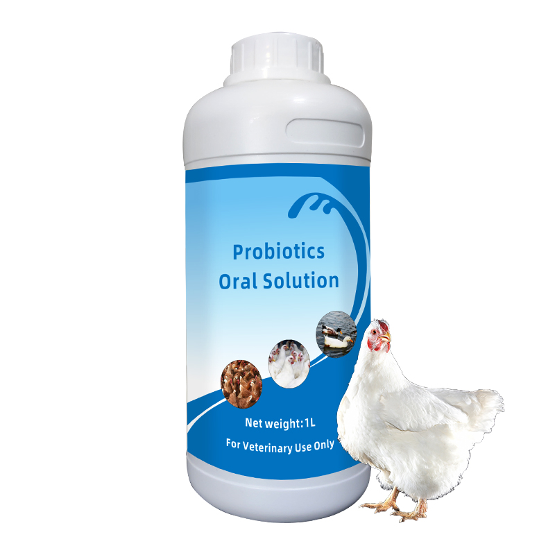 Probiotics Oral Solution Improve Intestinal Environment and Prevent Diseases