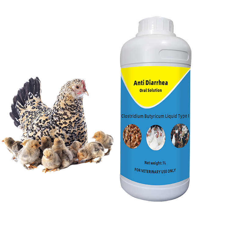 Poultry Intestinal Treat Anti Diarrhea Oral Solution, Probiotics Liquid for Animal Digestion