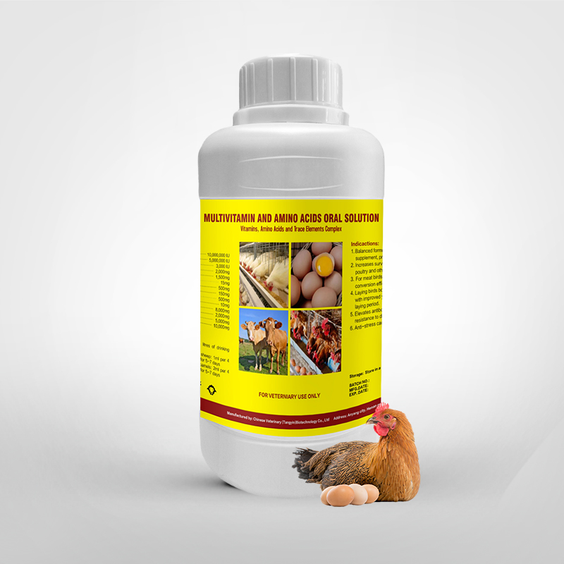 Livestock Probiotics Oral Solution Poultry Liquid Feed Additive Intestinal Support Veterinary