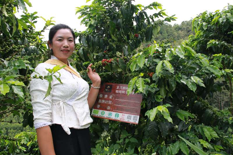 Coffee Grower Invite You