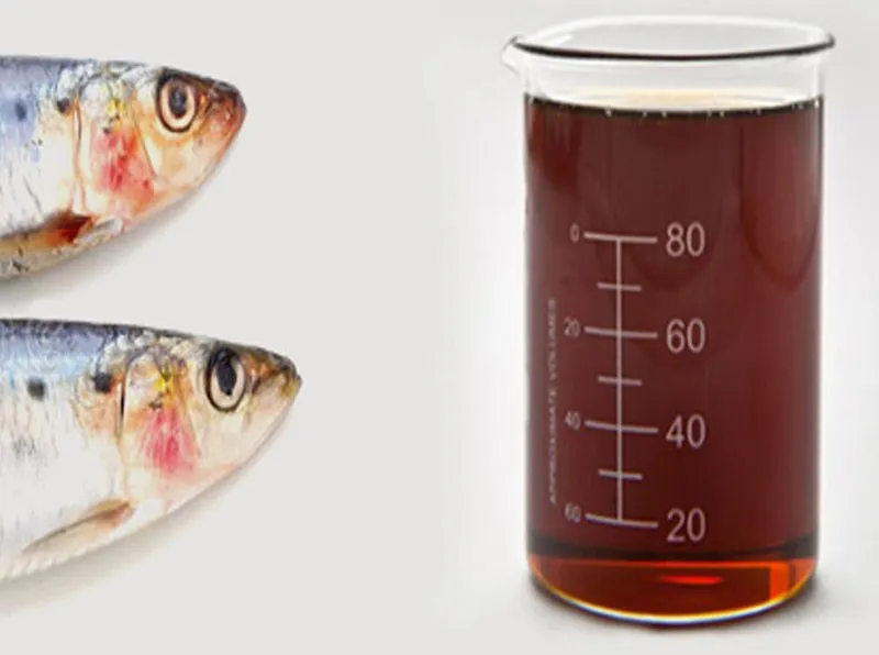 Feed Additives Details