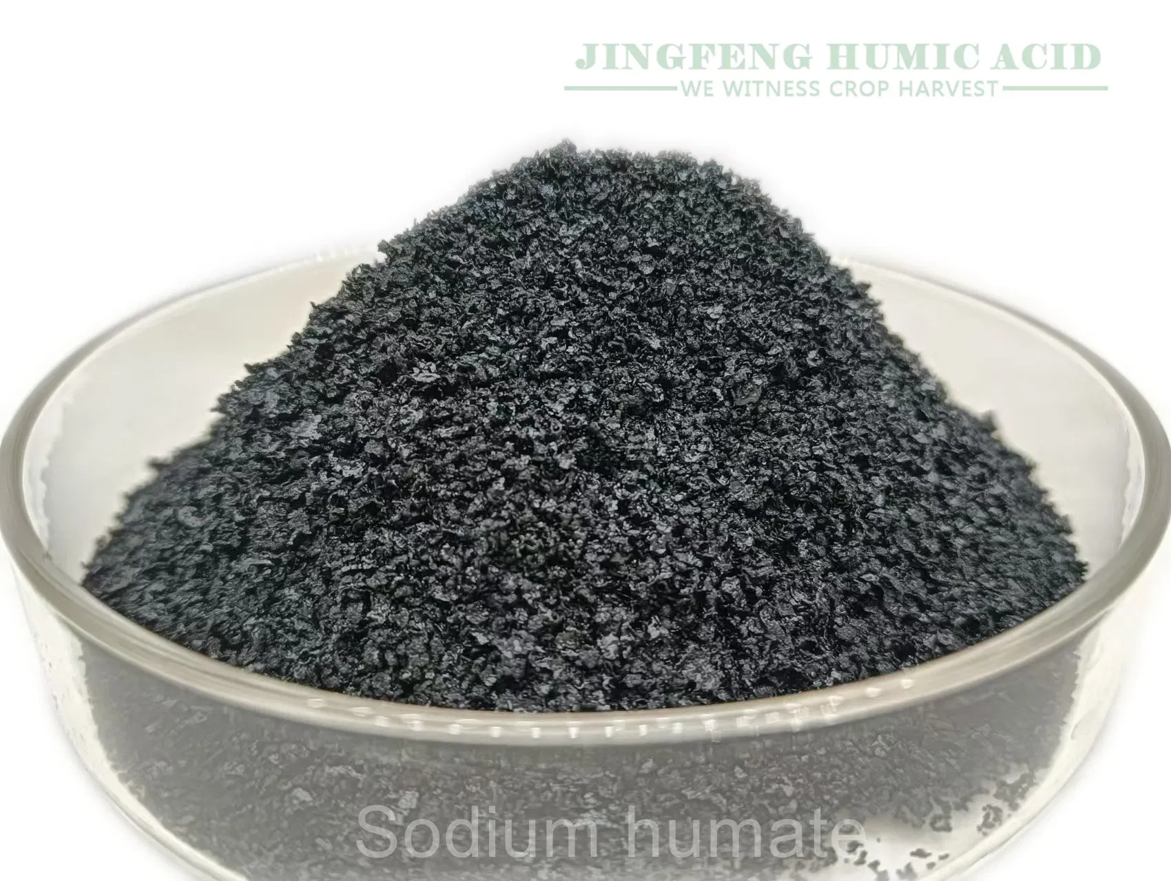 Super Sodium Humate Flake/Powder for Aquaculture Ceramic