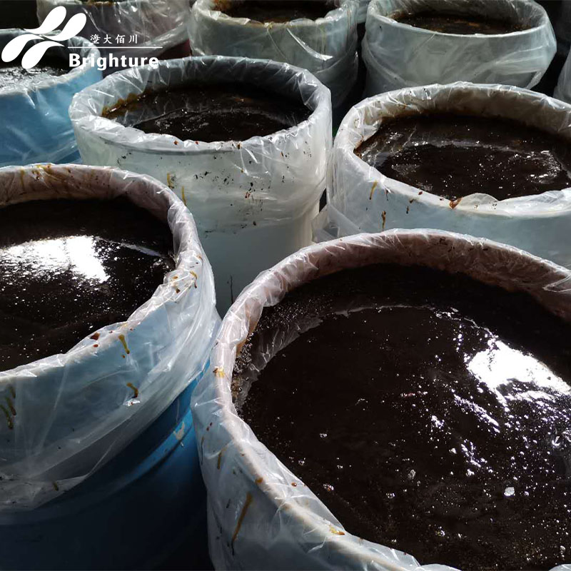 High-Stability Low-Temp Storage Aquafeed Ingredient with Squid Liver Paste Shrimp Pig Feed Poultry Feed Additives