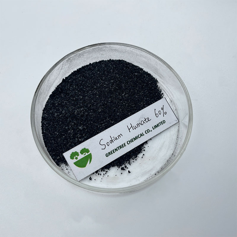 Agriculture Fertilizer Factory High Soluble Feed Additive Humic Acid 60% Sodium Humate China Manufacturers