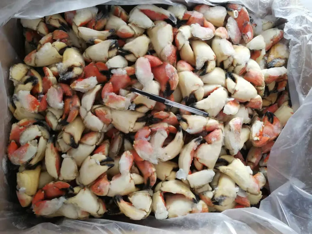 Frozen Johah Crab Cocktail Claws Presentation