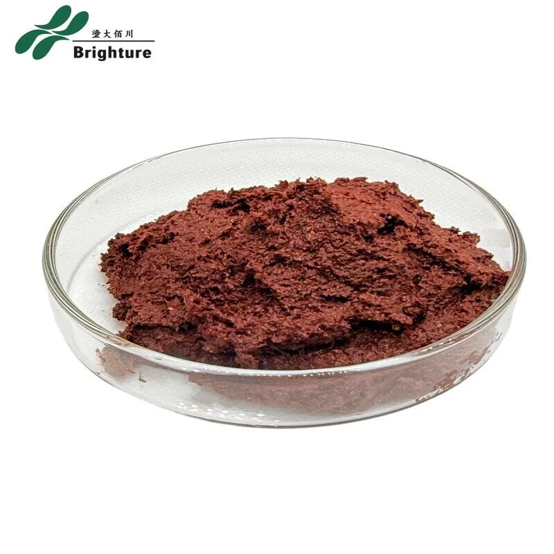 Shrimp Paste Quality
