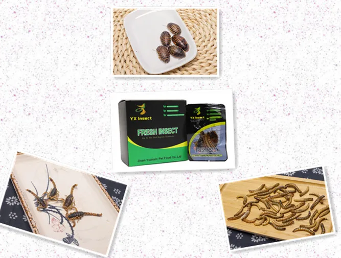 Eco Best No Additive Improve Size Formula Fish Feed